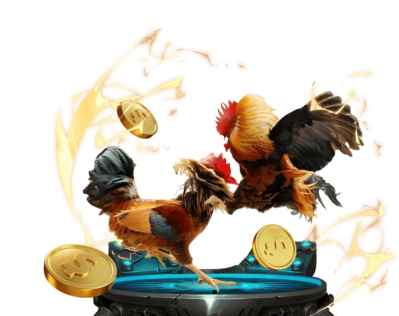 Dự đoán các môn thể thao khác